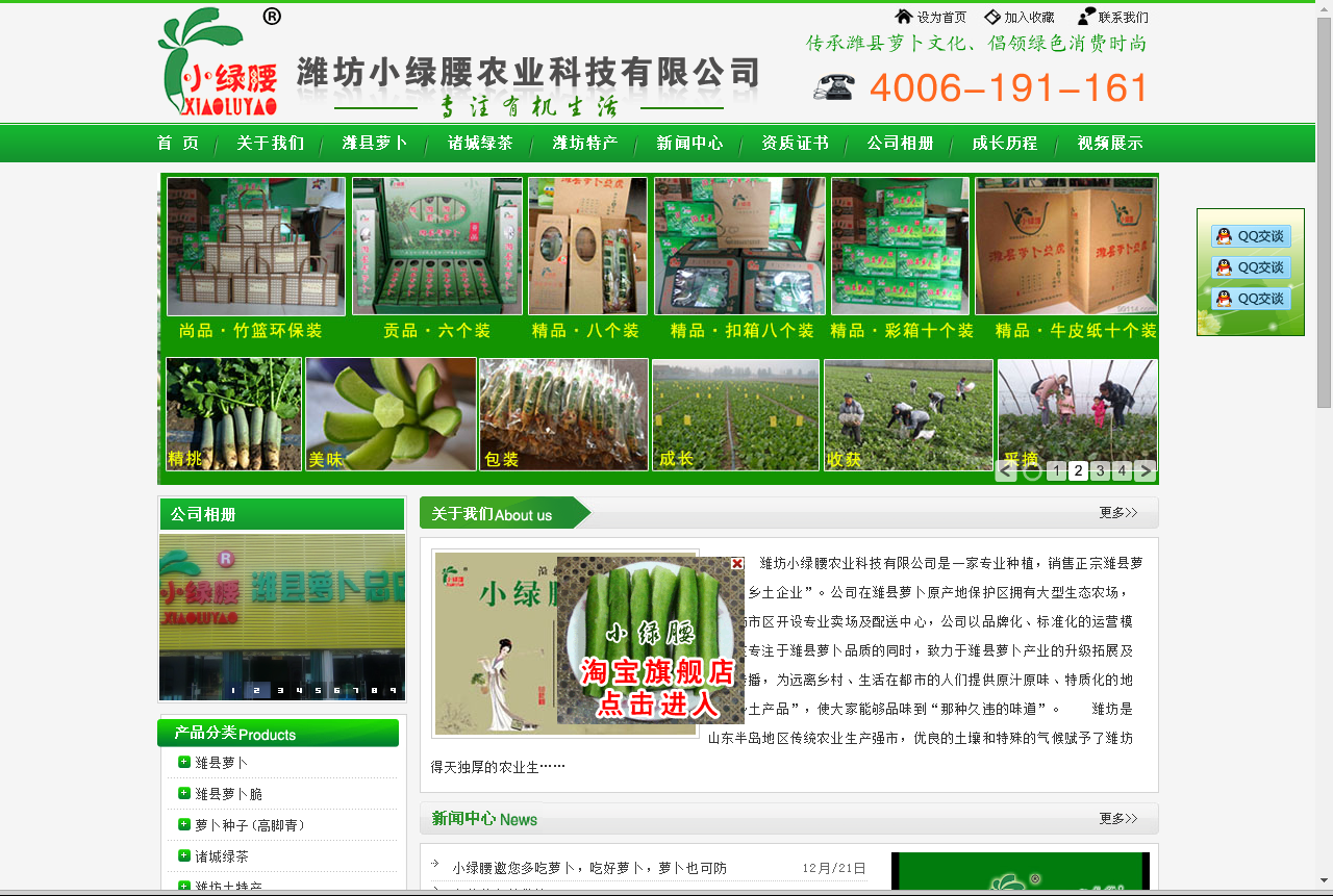 潍县萝卜 潍县青萝卜 潍坊萝卜 潍坊青萝卜 高脚青 二缨 潍县萝卜种植基地 鸢飞路潍县萝卜 潍坊小绿.png
